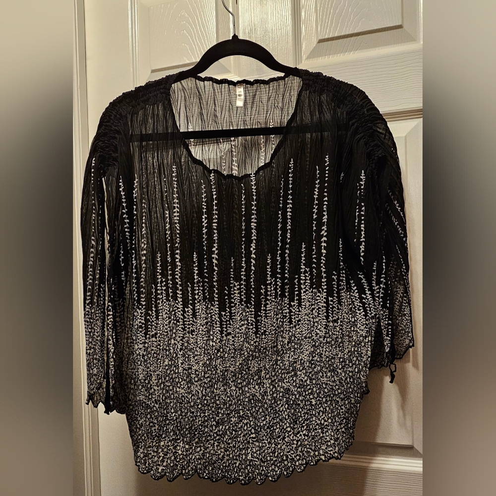 Chic Sheer Black and White Blouse